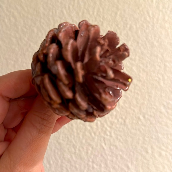 Anthropologie Pink Wax Pine cone ornament set of 6 - Picture 5 of 5